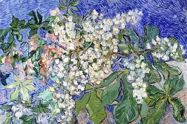 BV Phúc -Van Gogh - Blossoming Chestnut Branches